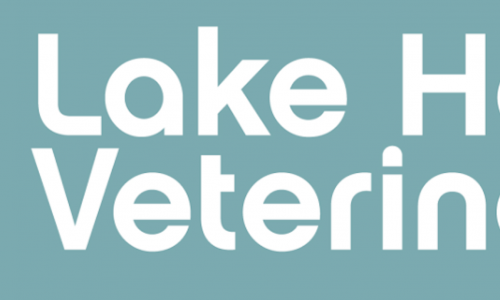 Lake Harriet Veterinary
